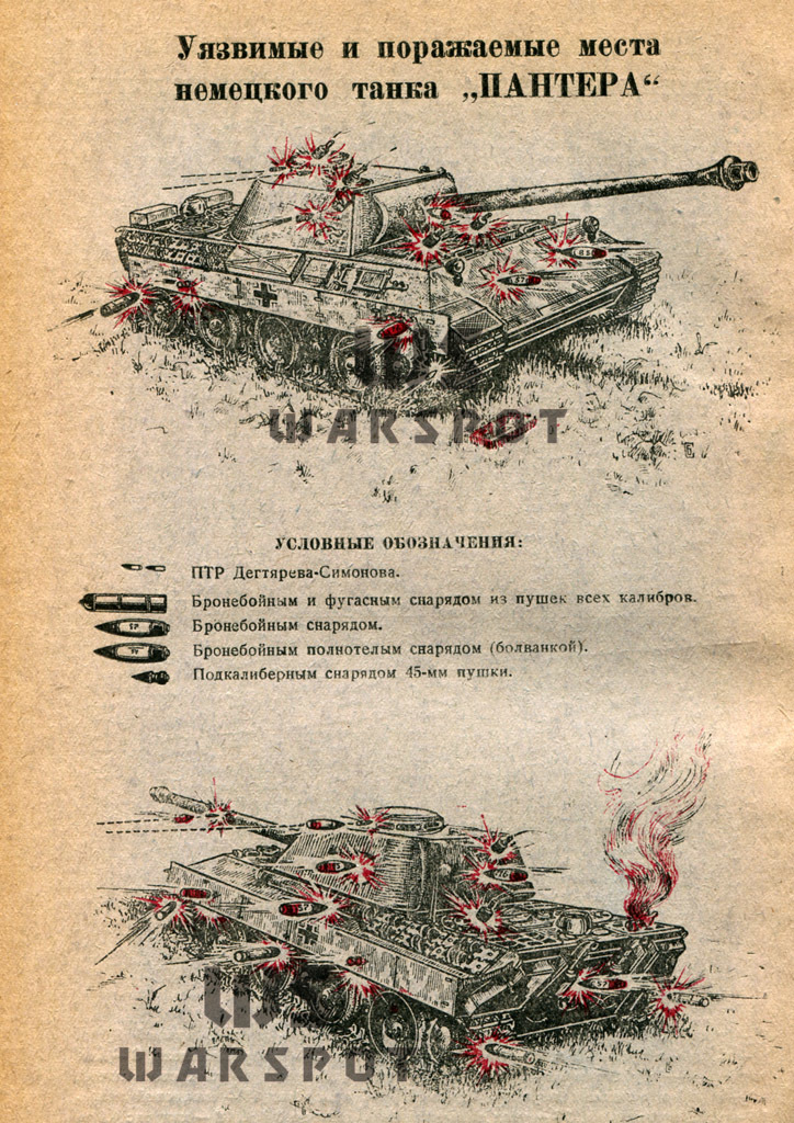 ​Инструкция по борьбе с «Пантерой», осень 1943 года - Страшнее кошки зверя нет | Warspot.ru