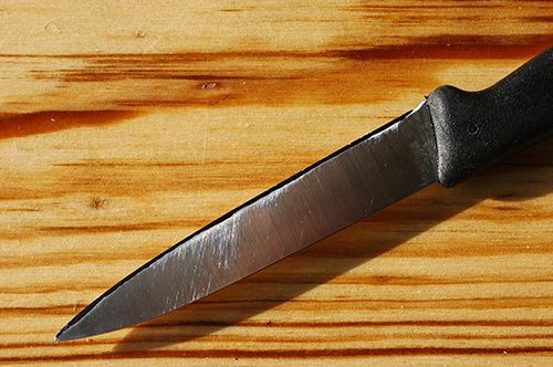 Острее некуда: изучаем самые эффективные приспособления для заточки ножей