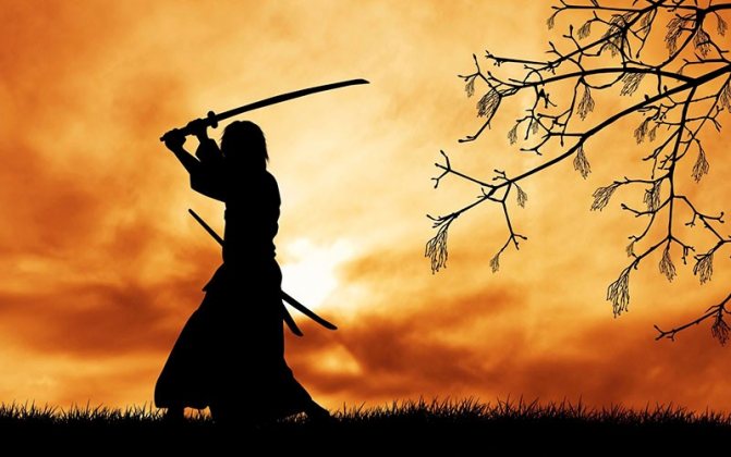 Вакидзаси – второй короткий меч японского самурая: для чего он нужен воину