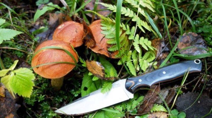 Нож грибника: грибной клинок «Русский булат». Лучшие ножи для грибов, их виды и характеристика