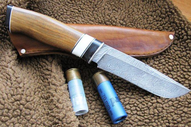 Охотничьи ножи: основные и лучшие виды, размеры, как выбрать для охоты и  рыбалки, туристический, сколько стоит